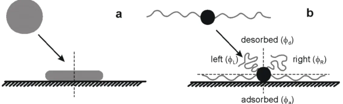 Figure 1.6 10  Equilibrium Spreading Cross-section of the adsorption of simple liquids and  molecular brushes
