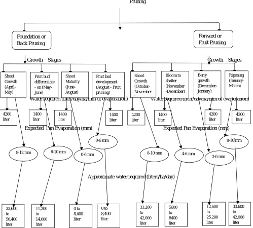 Figure 1:  Tree structure representing Rule base to decide water required for grapevine based on Pan Evaporation system 