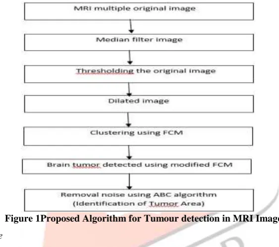 Figure 2(a, b, c) Brain Tumour image 