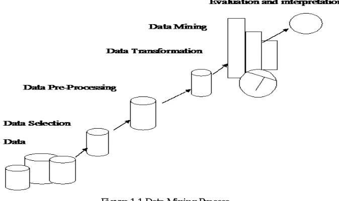 Figure 1.1 Data Mining Process 