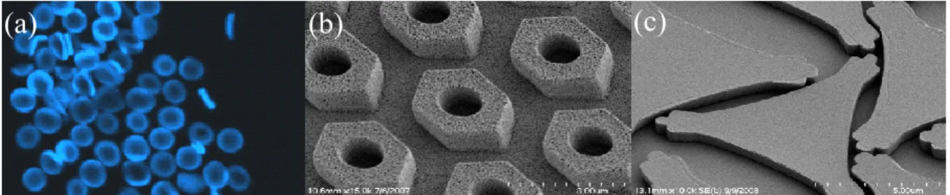 Figure 1.13 Range of particle shapes, sizes, and compositions accessible with PRINT. (a)  Low modulus hydrogel microparticles; (b) 3x1 µm silver particles; (c) 7 µm pollen particles
