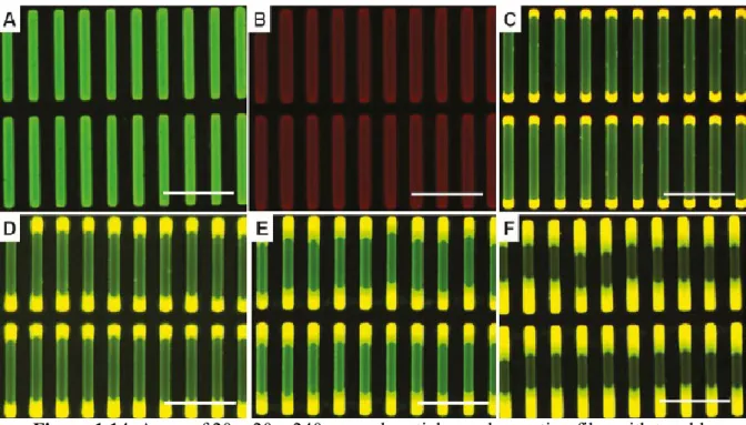 Figure 1.14. Array of 20 x 20 x 240 μm rod particles on harvesting film with tunable  dimensions in ABA triblock structures