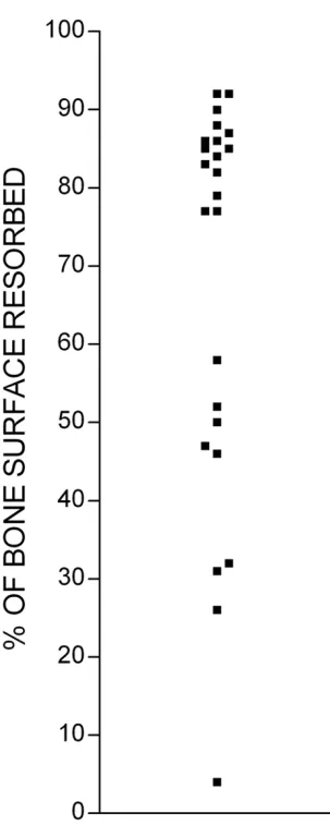 Figure 2the same experimentQuantification of bone resorption on individual bone slices in Quantification of bone resorption on individual bone slices in the same experiment