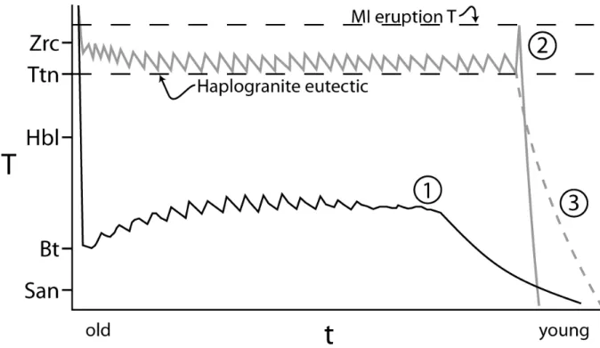 Figure 8. Schematic diagram indicating various T-t paths for intermediate magmas assuming  incremental assembly of a large volume of magma