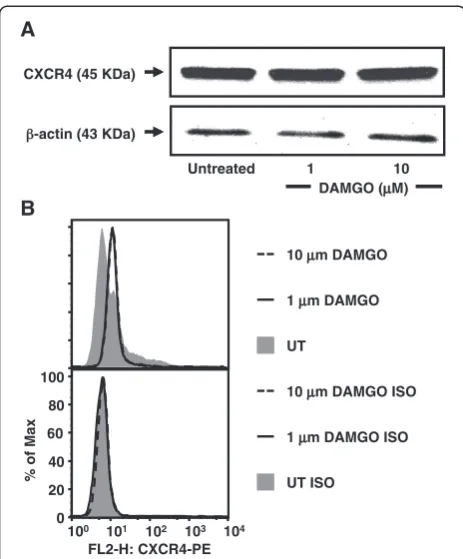Figure 5 DAMGO treatment inhibits the replication of HIV-1X4-utilizing strain IIIB in TF-1 cells
