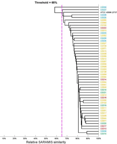 FIG 2 Cluster analysis of spectra of 49 ST37 isolates of different geographic origins