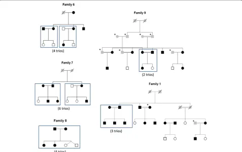 Figure 1 19 trios in family pedigree. Rectangular boxes drawn in the family pedigree indicate the trios taken for pipelines comparison analysis.Individual in black are obese