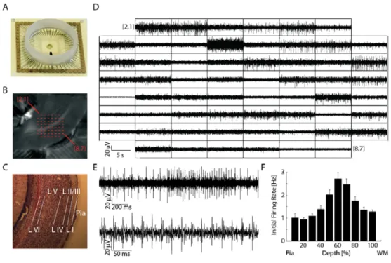 Figure 2.1. Use of a multielectrode array (MEA) allows simultaneous readings of neuronal activity  on 59 channels