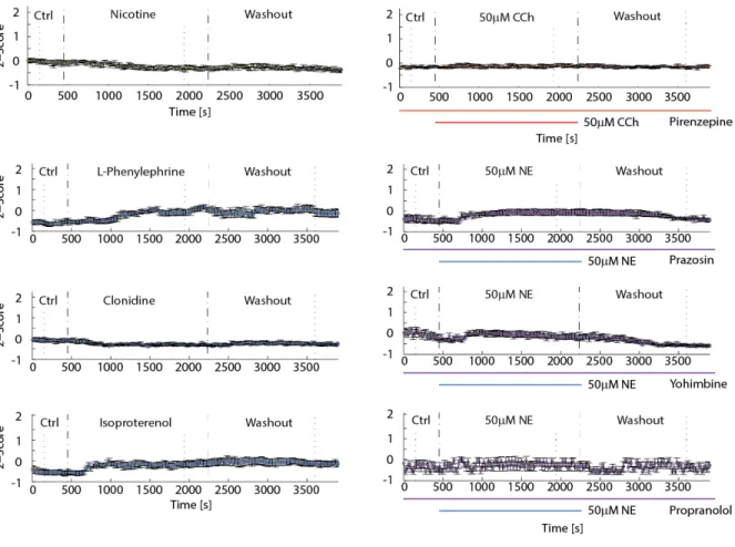 Figure 2.9. Time-course of response by receptor subtype. 