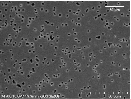 Figure 4.1: SEM image of PCTE membrane 25 µm thick with an average pore diameter of 1.9 µm.