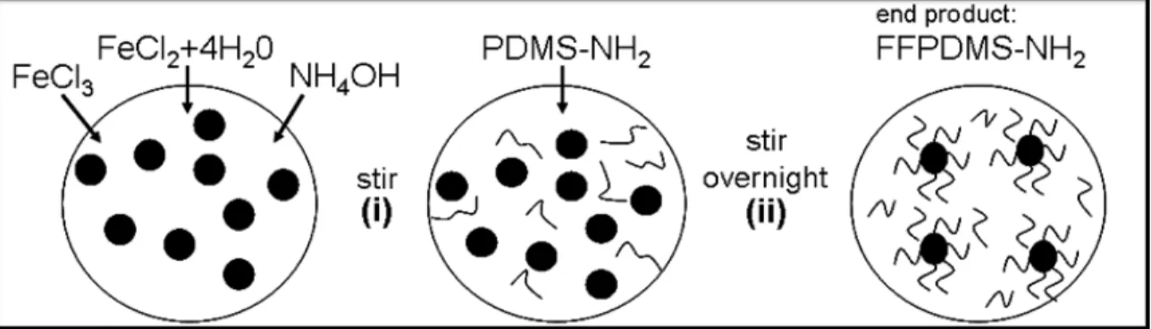 Figure 4.6: Synthesis of FFPDMS-NH 2 complexed material. Details in the text.