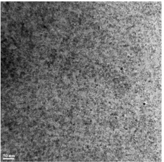 Figure 4.7: TEM image detailing the small scale homogeneity of crosslinked 70%