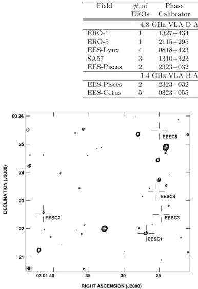 Fig. 1. Contour plot of the 1.4 GHz continuum image of the EES-Cetus field. The centres of the stars mark the NIR  po-sitions of the EROs