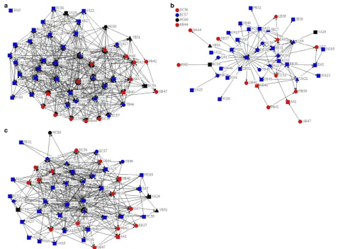 Figure 1 Past, current and future collaboration networks. (a) Past collaboration network