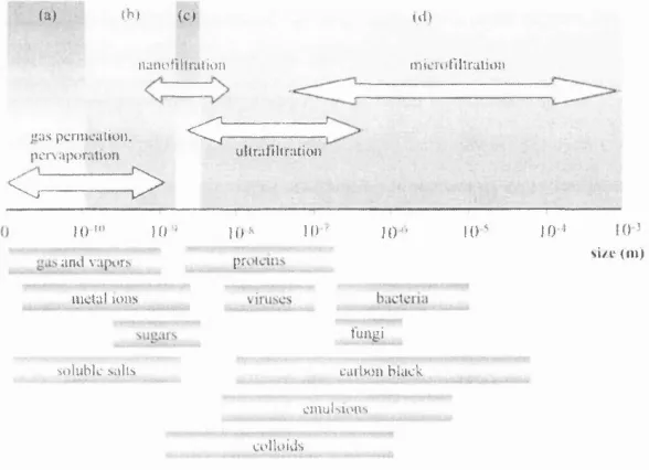Figure 2.9 shows some typical applications of membranes belonging to the various sharp classihcation of hgnre 2.9 it should be kept in mind that most of the membraneclasses dehned according to the pore sizes (Coronas and Santamaria, 1999)