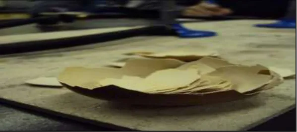 Fig. 1: Eggshells 
