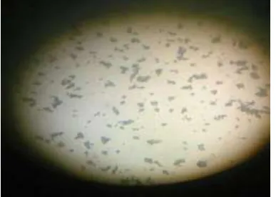 Fig. 5: Particle Size Analysis Graph of Eggshell Powder 