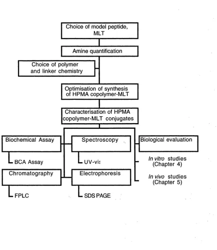 Figure 3.4 Flow chart summarising synthesis and characterisation of HPMA copolymer- MLT conjugates