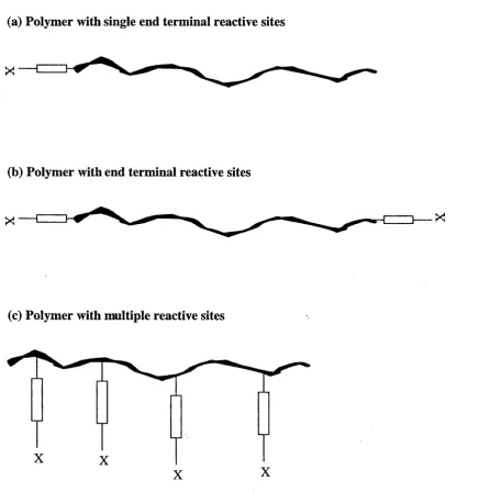 Figure 3.1 Illustration of (a) monovalent, (b) bivalent and (c) multivalent reactive polymers