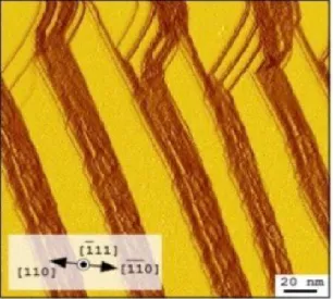 Fig. 5: Spatial-derivative STM images with 200x200 nm^2 at Vs = +1.5 V. Flat terraces become brighter and edges darker