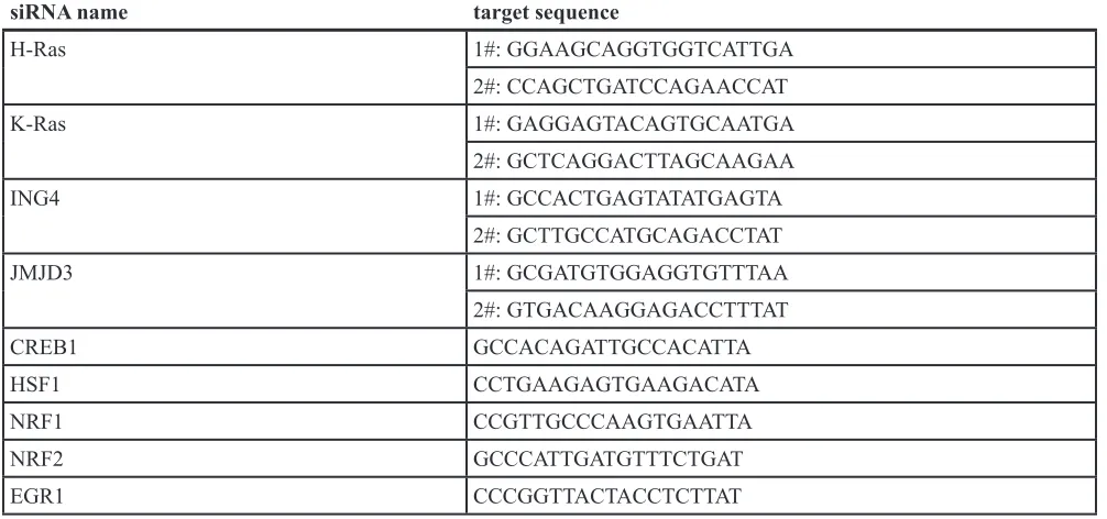 Table 2: siRNAs used in the study