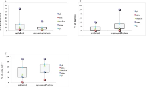 Figure 3: Inflammation, necrosis and Ki67 strong nuclear expression levels in tumor samples from epithelioid (N = 32) and sarcomatoid/biphasic (N = 28) mesothelioma