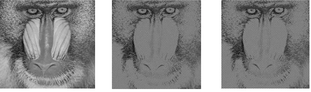 Fig. 2 Mandrill host image, even sub-image and odd sub-image 