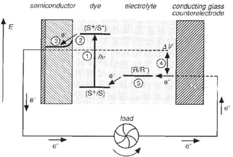 Figure 1.4 Schematic representation of the operation principle of DSSC. (Reprinted with  permission from reference 47
