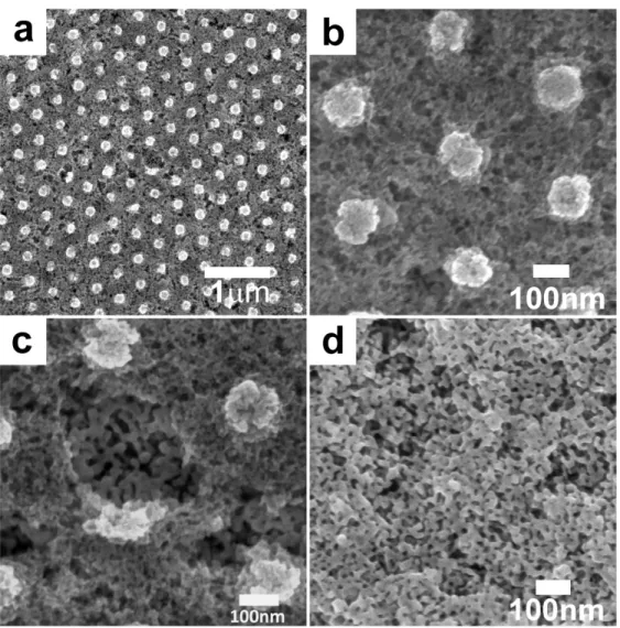 Figure 2.2 SEM images of the patterned niobium oxide films in different magnifications  ((a)-(c)) exhibiting mesoporous surface morphology