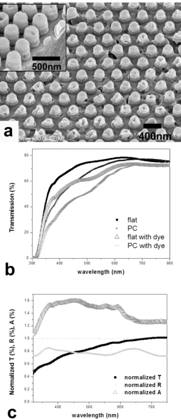 Figure 2.4 (a) SEM image of the dense patterns made of an oxide paste without polymeric  additives