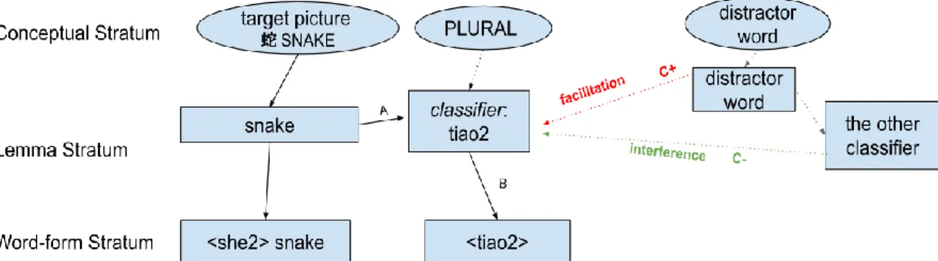 Figure 5. The competitive selection process of classifier in NP production in Mandarin, adapted from  Levelt  et  al