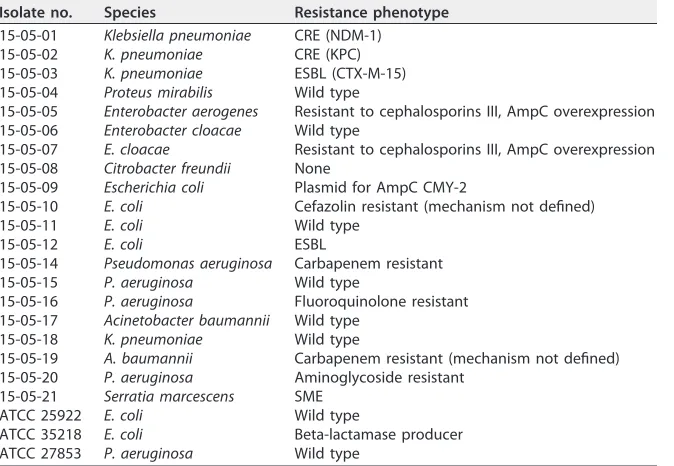 TABLE 1 Bacterial isolates used in this studya