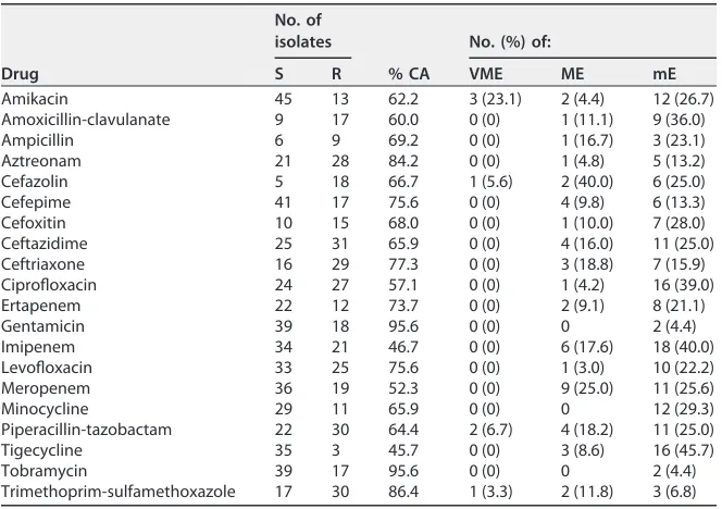 TABLE 5 Resolved performance of direct-from-blood-culture disk diffusion method at 6 h,by antibiotic