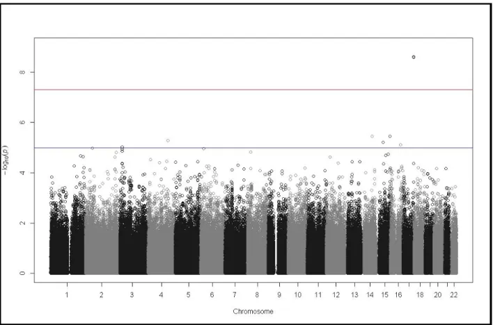 Figure 3.1: Manhattan plot of the –log 10 (p-values) of the dystonia GWAS. 