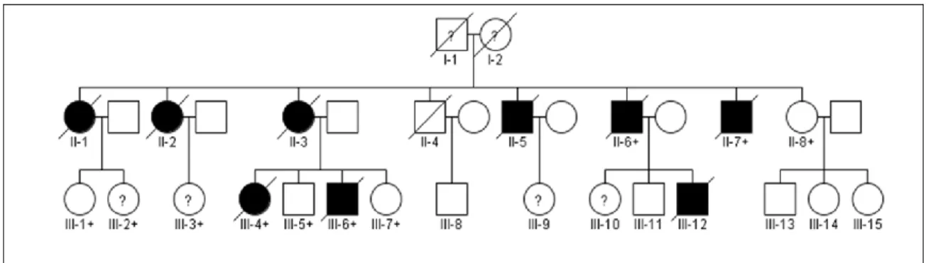 Figure 4.1: Pedigree affected with FTD-ALS. Subjects labeled with a “+” were analyzed with  exome sequencing