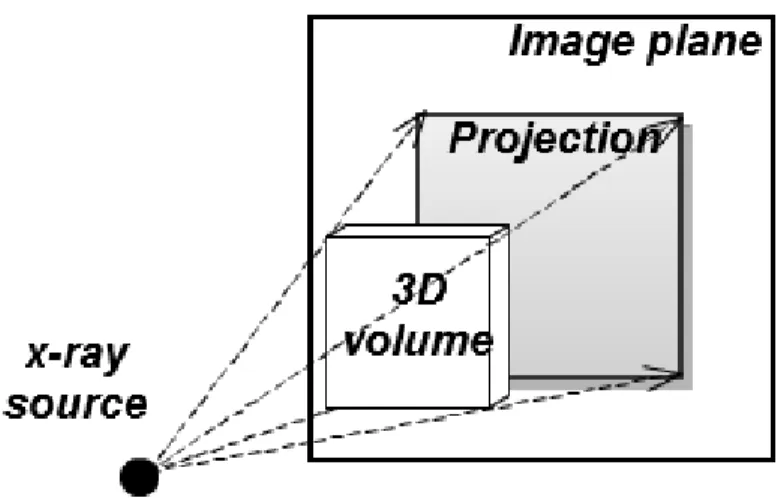 Figure 5.1.1: An x-ray projection is simulated by ray-casting on a 3D image volume.