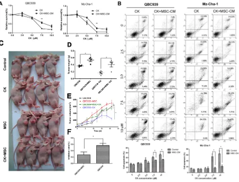 Figure 3: MSCs decrease the effects of Compound K on cholangiocarcinoma. A. QBC939 and Mz-ChA-1cells were treated with different concentration of CK (0, 2.5, 5.0, 7.5, 10 μM), which were dissolved with MSC-CM or serum-free medium for 24 hours