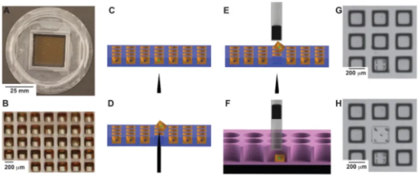 Figure 1. Microraft based selection of cells