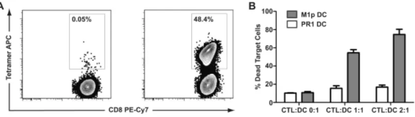 Figure 3. M1p specific T cell culture