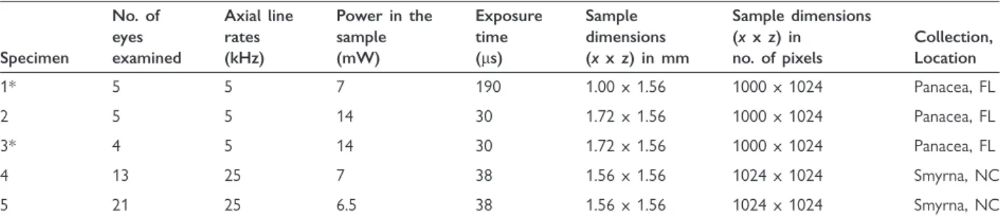 Table 2 Information describing scallop eye OCT