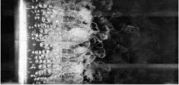 Figure 1.1: Bubble Cavitation 