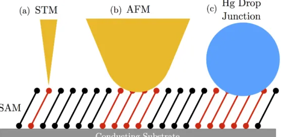 Figure 1.12: Schematics for some common MMM junctions are shown. (a) An STM MMM junction