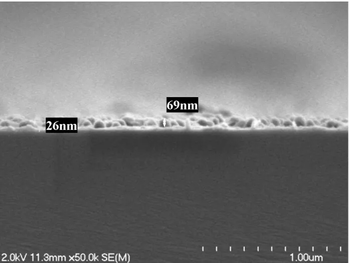 Figure 2.4: An SEM image of a P3MT brush grown on an Si/SiO 2 substrate