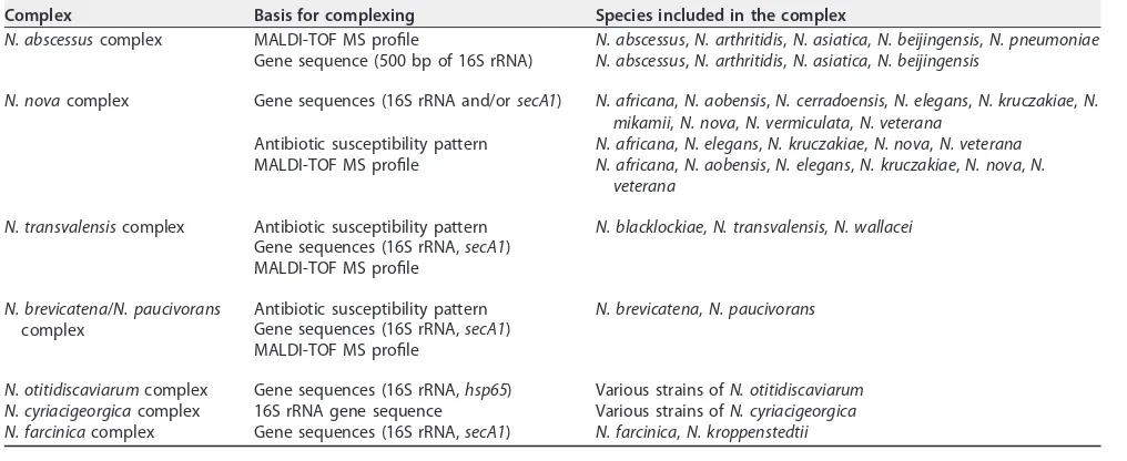 TABLE 2 Commonly designated complexes of Nocardia species