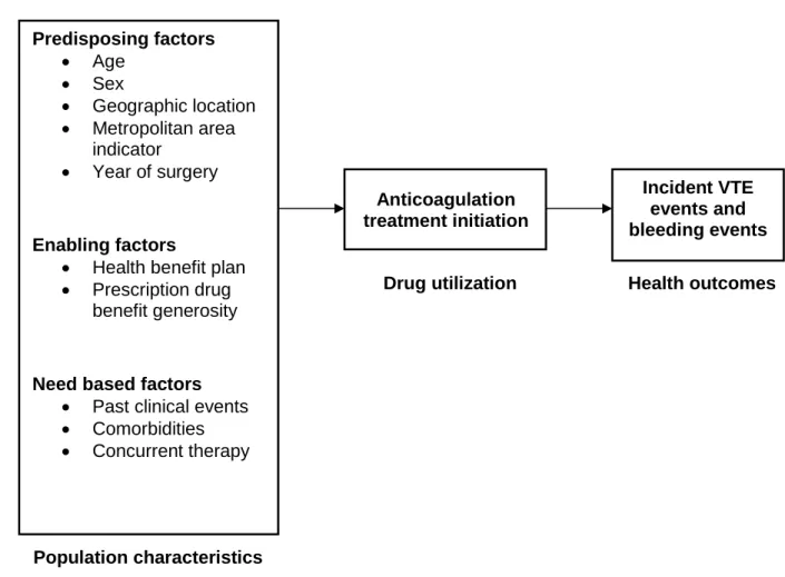 Figure 2-2 Andersen’s Emerging Behavioral Model of Health Services Use  (Adapted) 