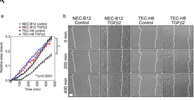 Figure 4-3. SMA +  TEC are functionally different from NEC. 