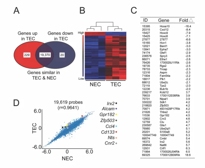 Figure 3-2. Genome-wide expression profiling reveals a distinct molecular signature in  mammary TEC