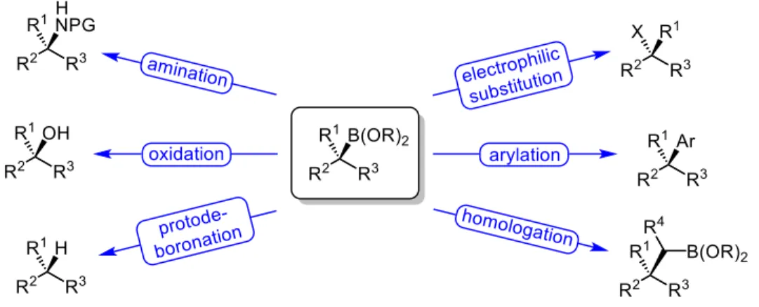 Figure 1.1 List of Stereospecific Functionalizations of Boronic Acid Esters 