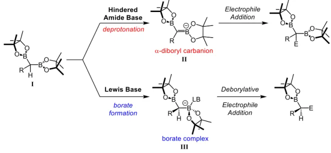 Figure 1.4 Different reactivity patterns of gem-diboronate esters: α-deprotonation vs borate formation  dependent on the Lewis base, i.e