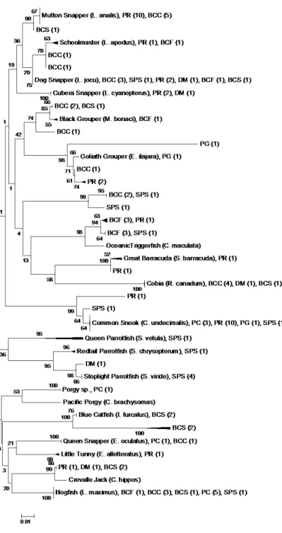 Figure 1.1: Evolutionary relationships of samples  